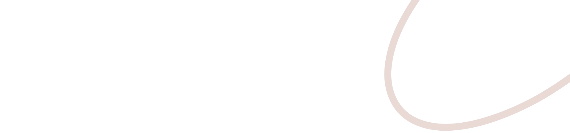 Business Developer