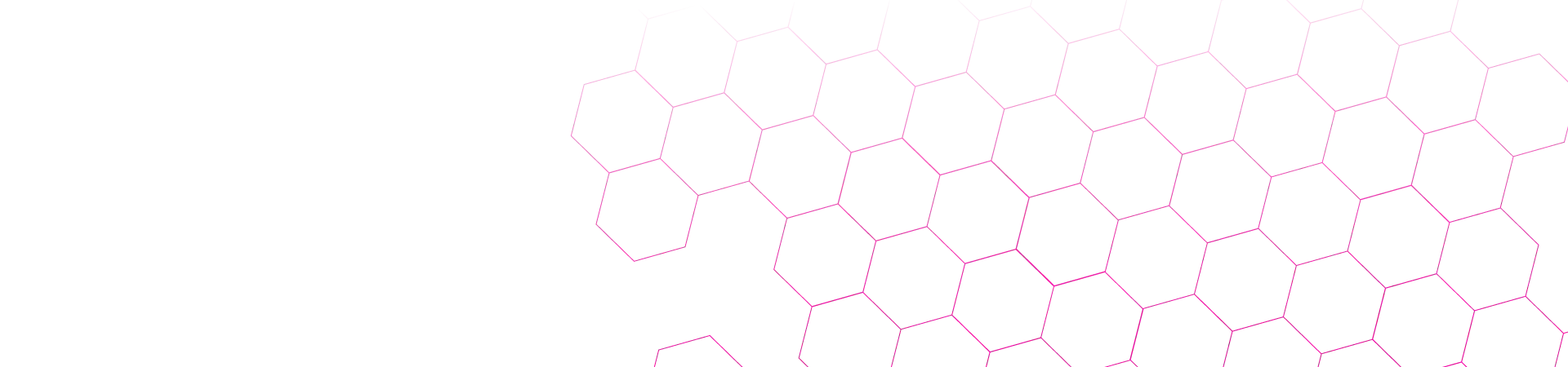 Semi Senior Landscape Renderer